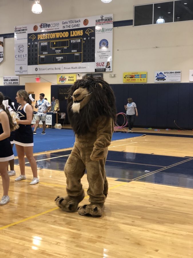 At the first pep rally of the year, mascot Levi the Lion dances along with Spirit Cheer.