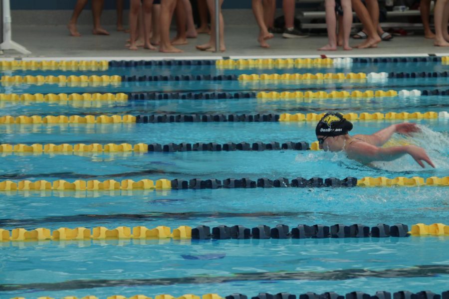 Sophomore Lauren DenBraber swims in the girls medley relay