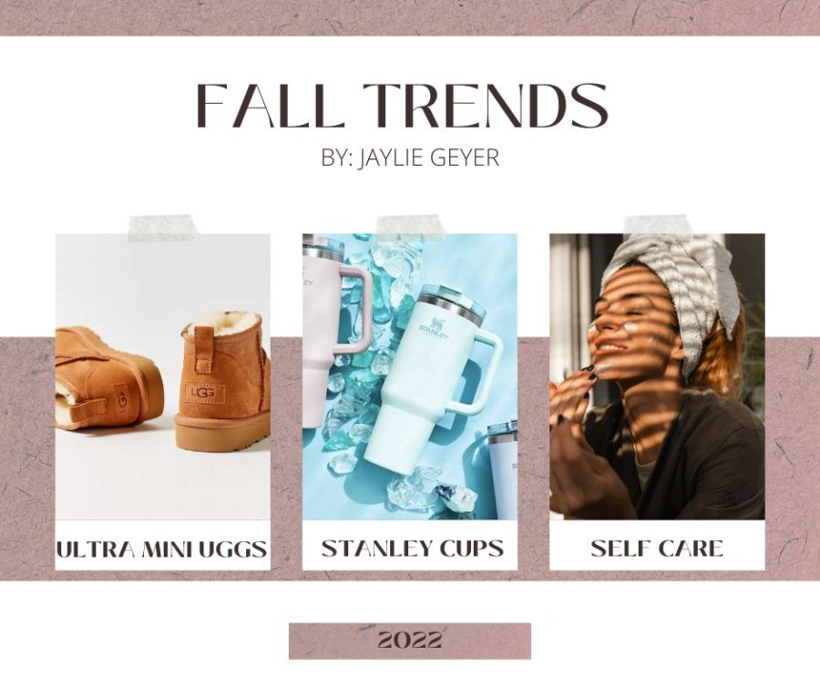Fall Trends