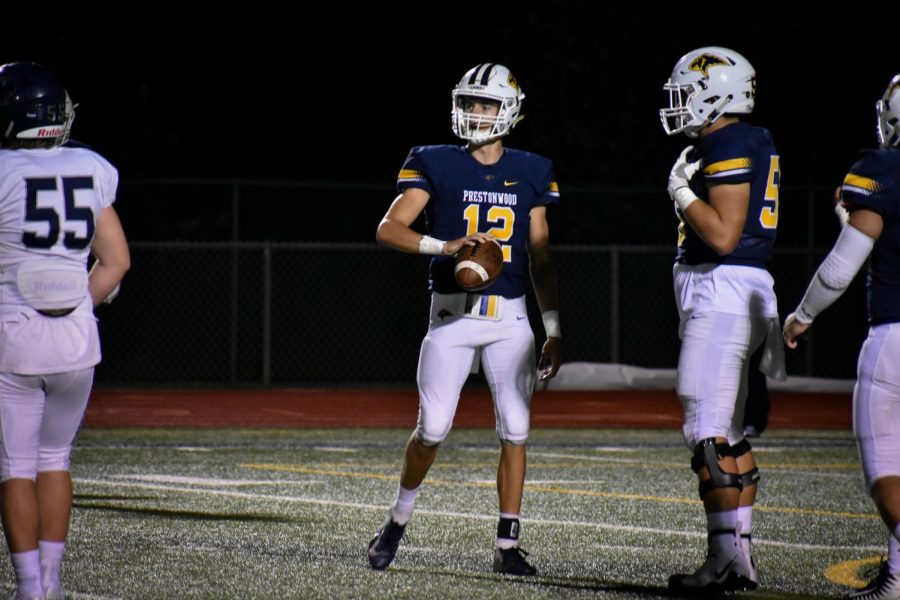 LionNationOnline Sideline Reports