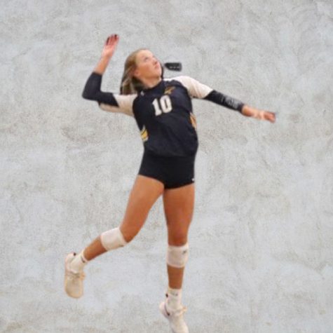 Meet the Player - Tate ONeal
