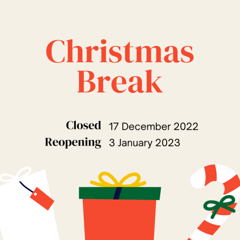 What are Students Doing During Christmas Break?
