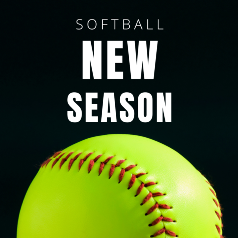 The New Softball Program