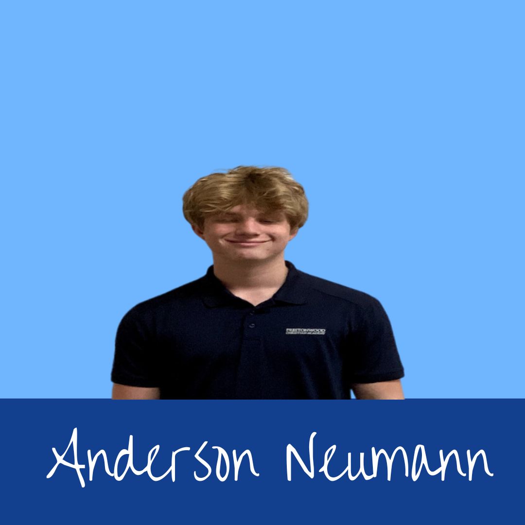 Meet The Player - Anderson Neumann