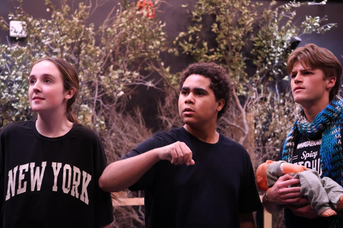 What All Goes On in the Woods