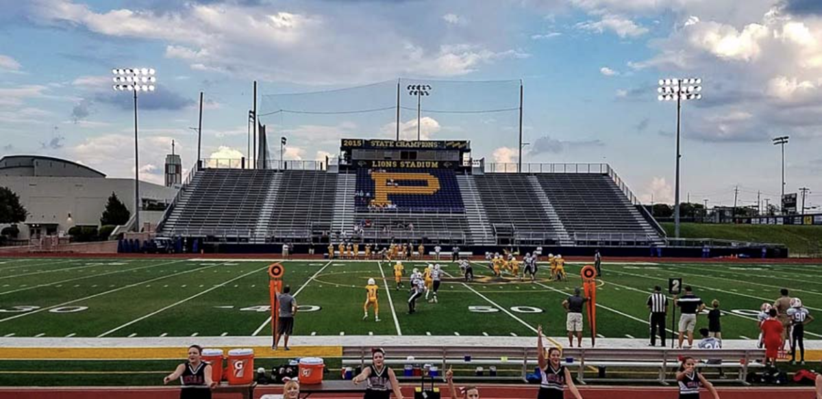 Lions' New Field Gets Thumbs Up from Players